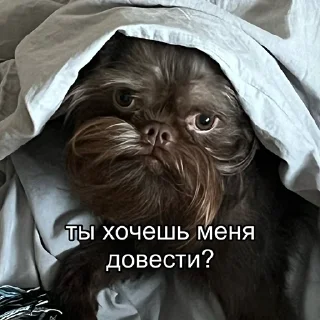 Sticker mr. Пёс - 8