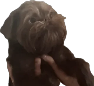 Sticker mr. Пёс - 6