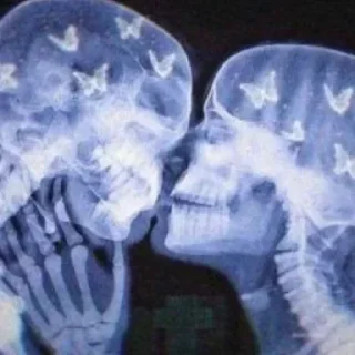 Стикер Больше стикеров 👉🏻 @stickertg4 - 2