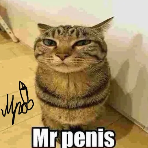 Sticker mr_stickerss - 1