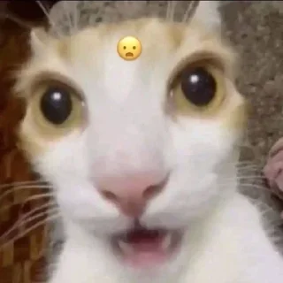 Sticker Больше стиков тут: @stikery4 - 7