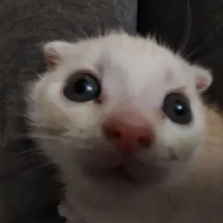 Sticker Больше стиков тут: @stikery4 - 3