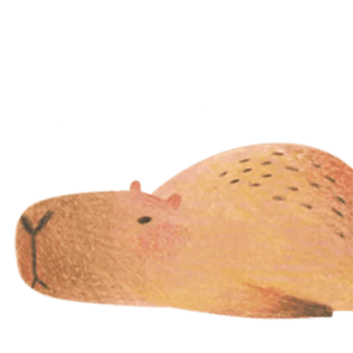 Стикер Mr. Capybara - 3