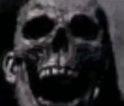 примат череп млекопитающее