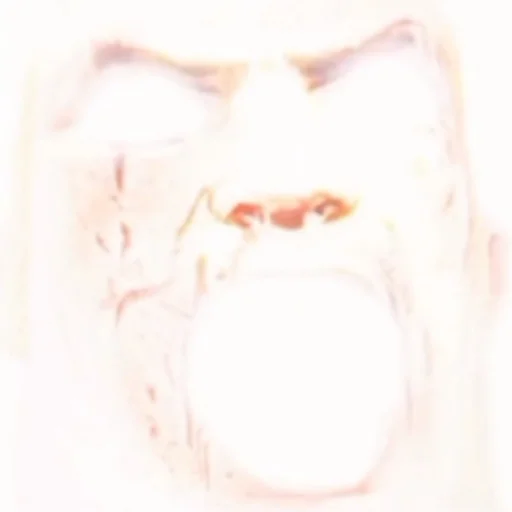 рентгеновская пленка