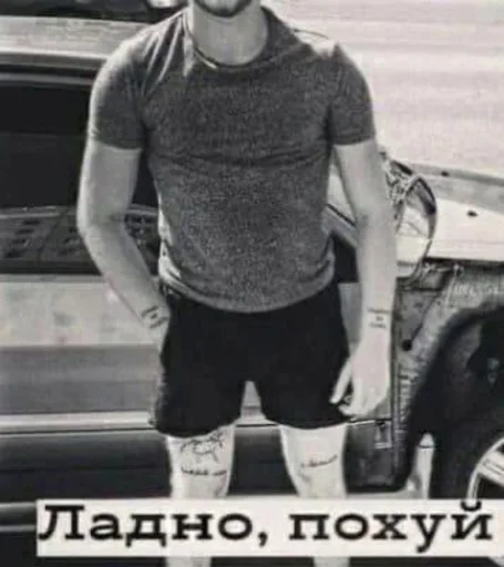 Sticker ИДИНАХУЙ - 2