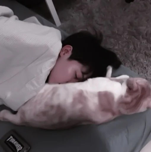 Человек прокладка кровать