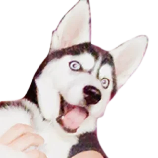 Sticker msmaggieLOLin - 7