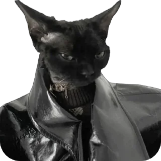 Sticker msnd. @msndsomeone - 3