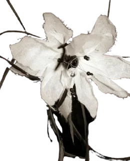 Sticker msnd. @msndsomeone - 7