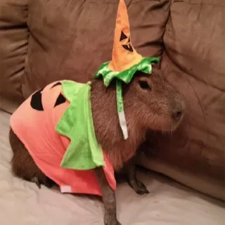 Sticker Больше стиков тут: @stikery4 - 4