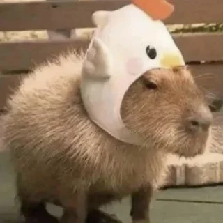 Sticker Больше стиков тут: @stikery4 - 6