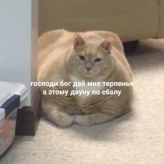 Sticker martatesla - 2