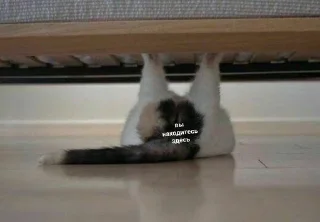 Sticker martatesla - 4