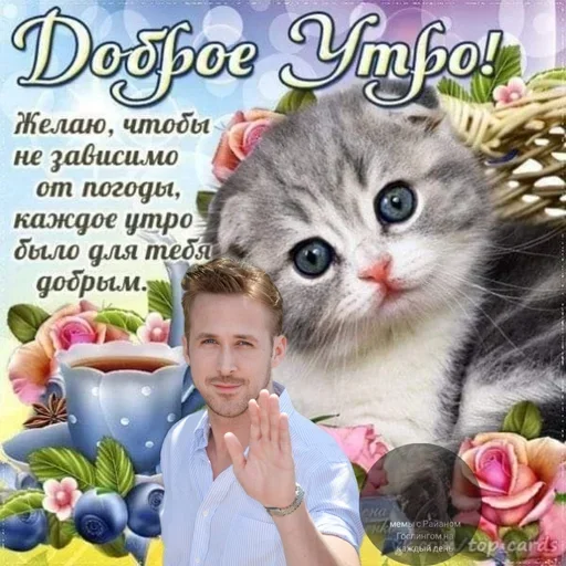 Sticker mtqvCUr_by_achestickbot - 1