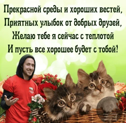 Sticker mtqvCUr_by_achestickbot - 1