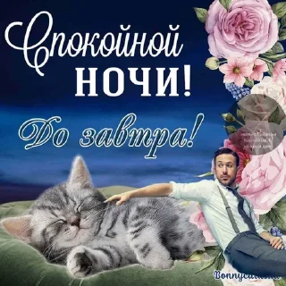 Sticker Больше стиков тут: @stikery4 - 0