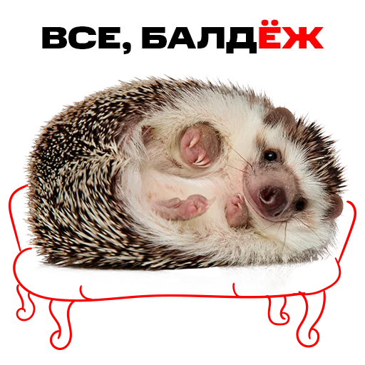 Sticker надЁЖные стикеры - 10