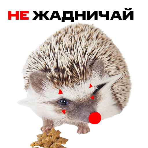 Sticker надЁЖные стикеры - 9