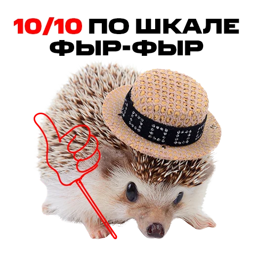 Sticker надЁЖные стикеры - 8
