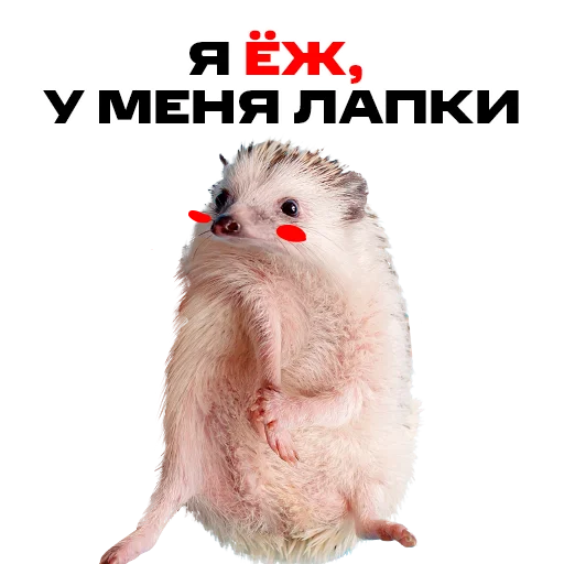 Sticker надЁЖные стикеры - 7