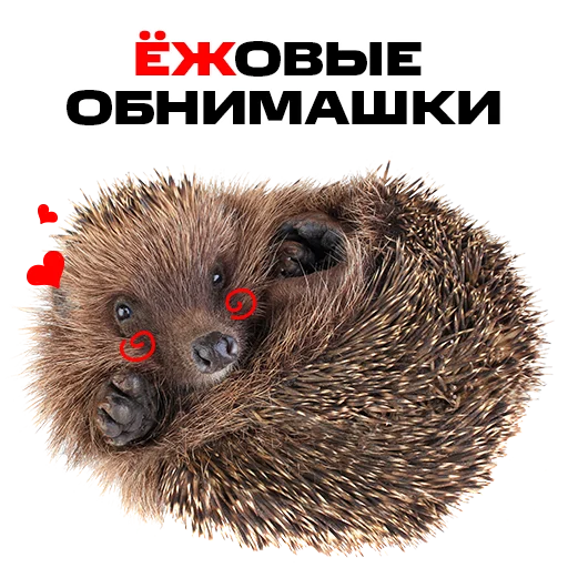 Sticker надЁЖные стикеры - 6