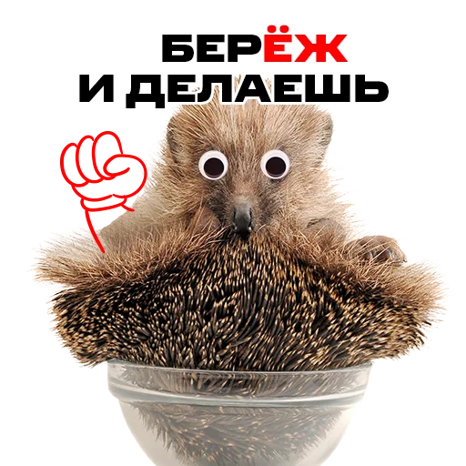 Sticker надЁЖные стикеры - 4