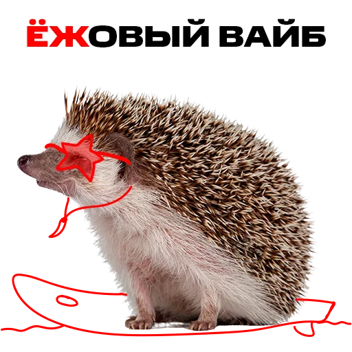 Sticker надЁЖные стикеры - 3