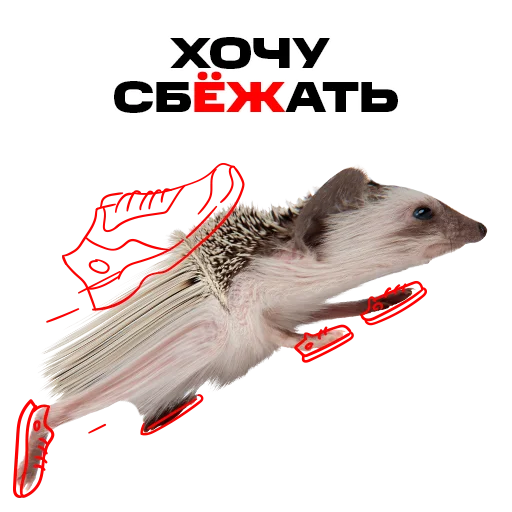 Sticker надЁЖные стикеры - 1