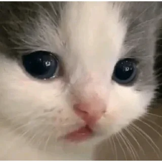 Sticker liker killer - 10