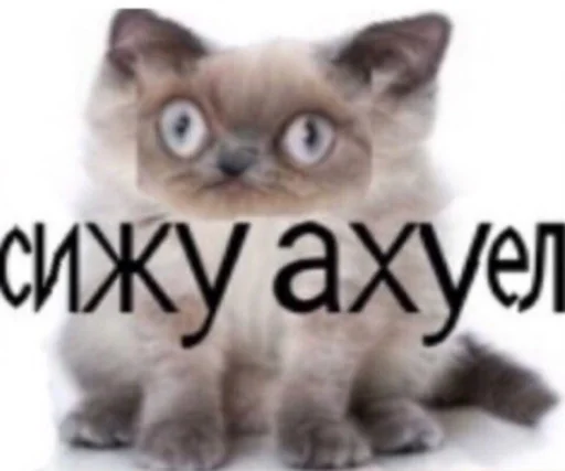 Sticker muawwwwww - 1