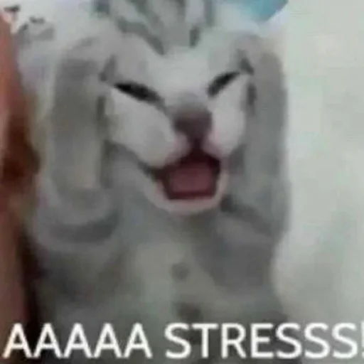 Sticker muawwwwww - 1