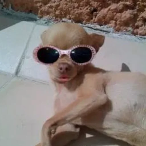 защитные очки аксессуар очки