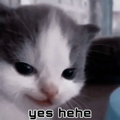 Стикер mudak_hehe - 1