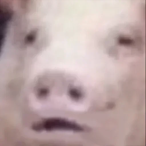 Стикер Свинья - 0