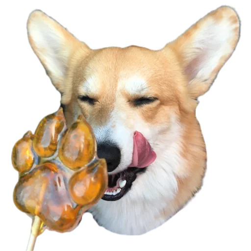 Стикер Маффин корги - 11