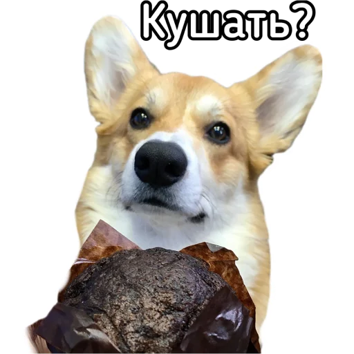 Стикер Маффин корги - 9