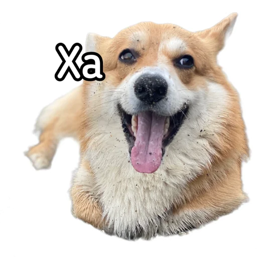 Стикер Маффин корги - 7