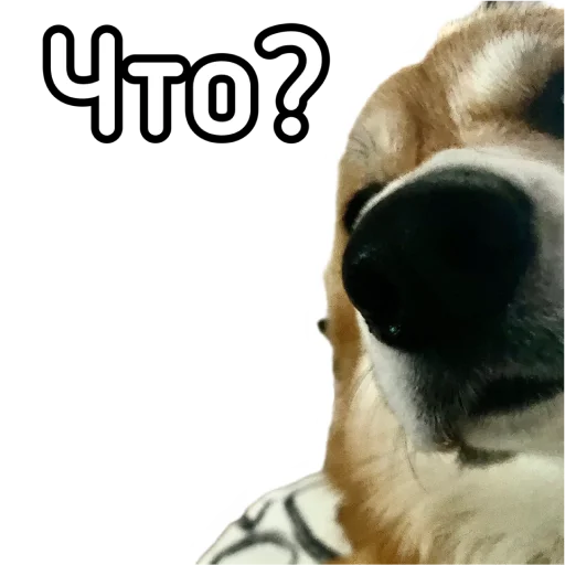 Стикер Маффин корги - 6