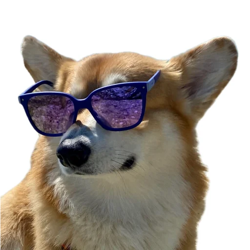 Стикер Маффин корги - 5