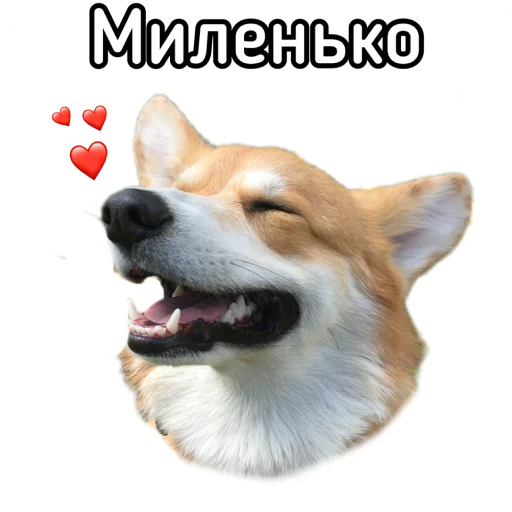 Стикер Маффин корги - 3