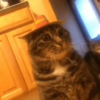 Sticker миу и не только @kulbiakova - 11