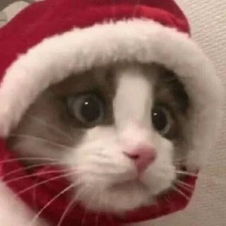 Sticker миу и не только @kulbiakova - 7