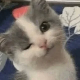 Sticker миу и не только @kulbiakova - 9