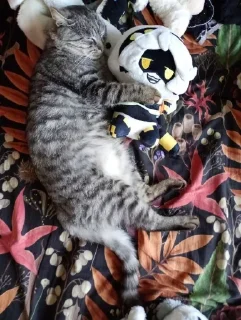 Sticker Drones @TgEmodziBot - 2