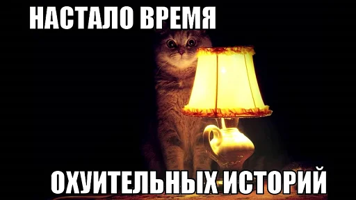 СМС кошка лампа