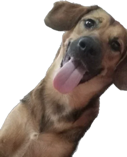 Стикер murrkawaii - 1