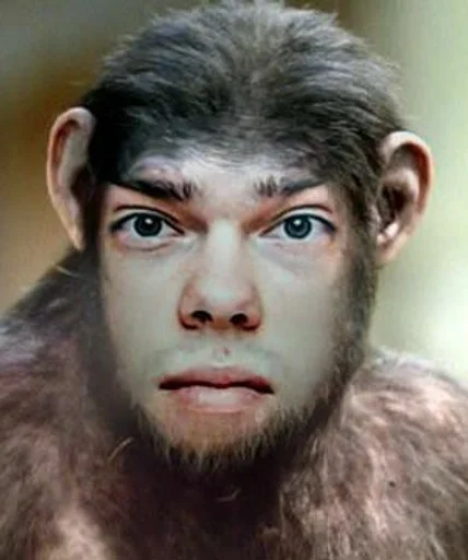 primate mammal animal