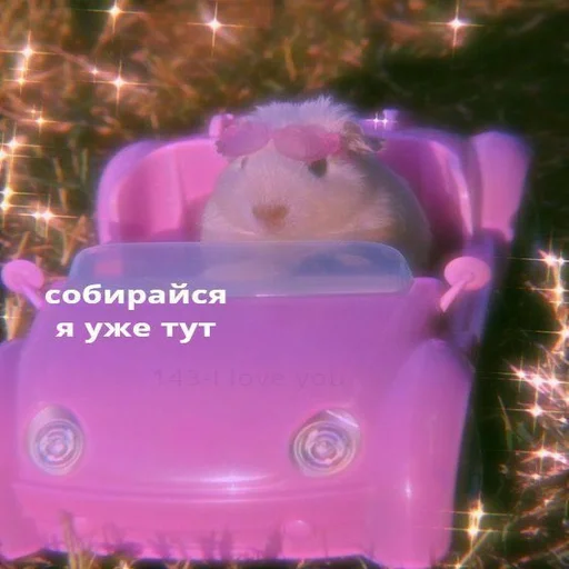 Sticker musor @chirpani - 7