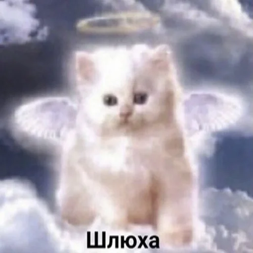 Стикер musorx - 1